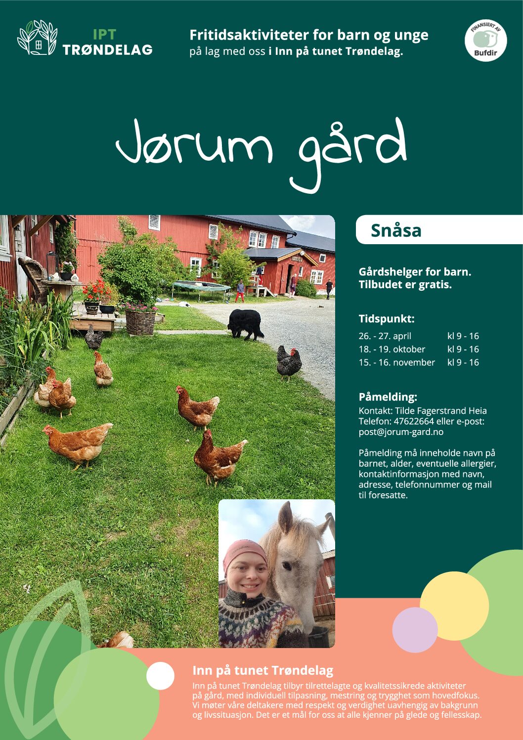 iptt_flyer_jorumgard_snasa_outl-pdf.jpg