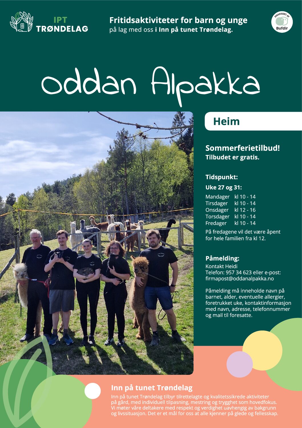 iptt_flyer_oddanalpakka_heim_outl-pdf.jpg