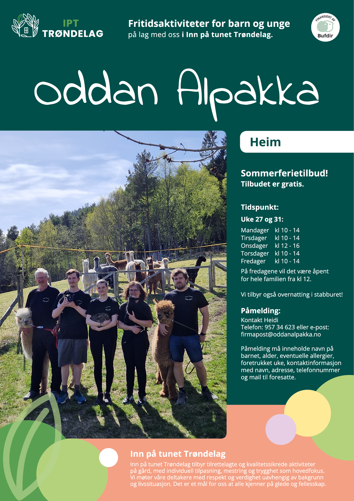 iptt_flyer_oddanalpakka_heim_outl.jpg